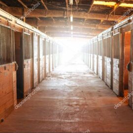 Light In Horse Barn Stables Epic Beautiful Photograph