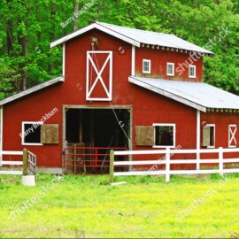 stock-photo-an-old-red-horse-barn-in-the-woods-among-a-buttercup-field-field-during-a-spring-day-76203289