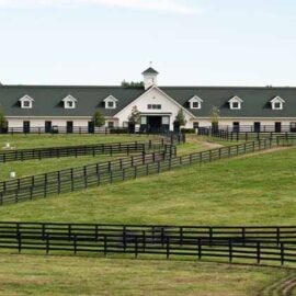 Padua-Stables-farm