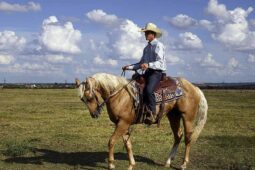cowboy-quarter-horse-trainer-ranch