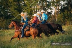 focused_202472872-stock-photo-group-people-riding-horses-field
