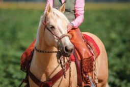 shutterstock_1748650634_-_rolf_dannenberg-mainweb